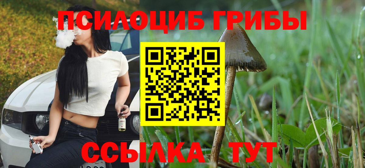 Псилоцибиновые грибы MAGIC MUSHROOMS Чайковский