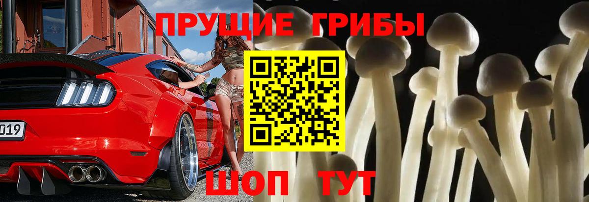 Псилоцибиновые грибы Psilocybine cubensis  Вход с VPN  Чайковский 